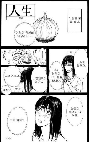 파일:양파인생.jpg