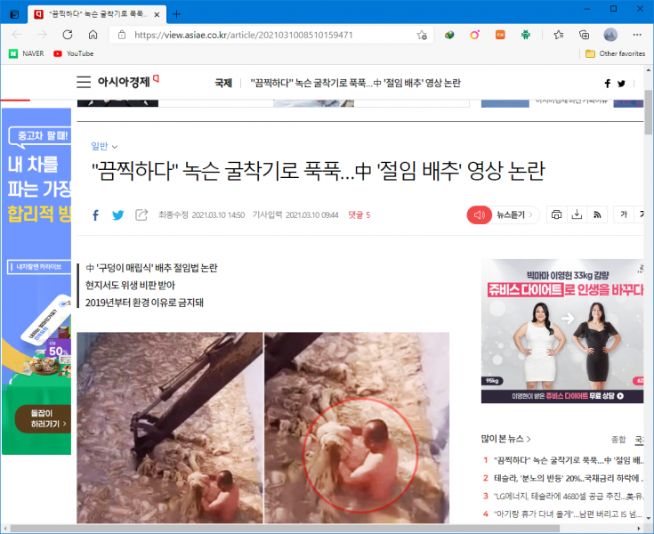 파일:중국의 배추 절임법.png