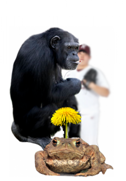 파일:망한투수 박주현.png