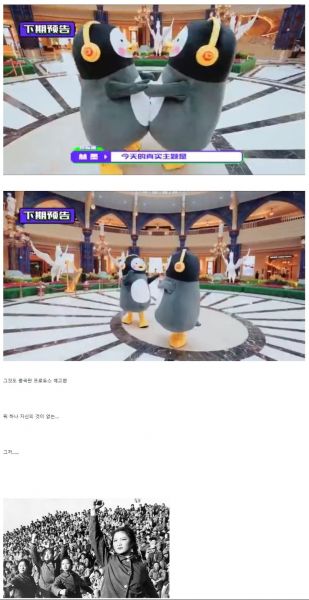 파일:저작권 의식이 없는 짱퀴벌레.jpeg