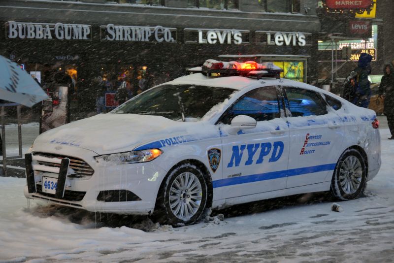 파일:12079441545 f6c77f619a b.jpg