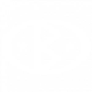 비스마르크 코퍼레이션 아이콘.png