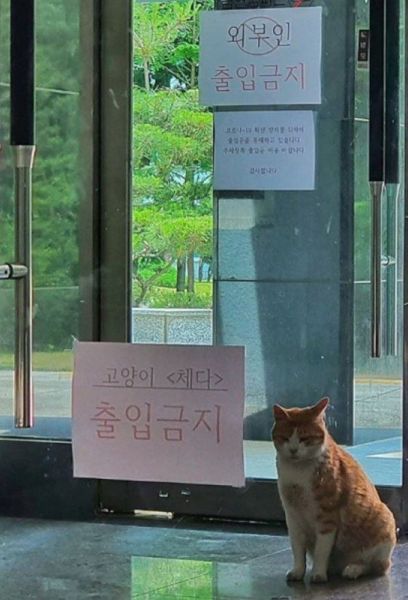 파일:삼육대 체다.jpg