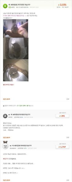 파일:1290999400 dw.jpg