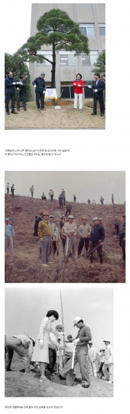 파일:재앙과 원조갓카의 차이.png