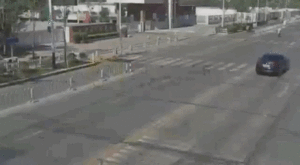 짱퀴벌레 공중제비.gif