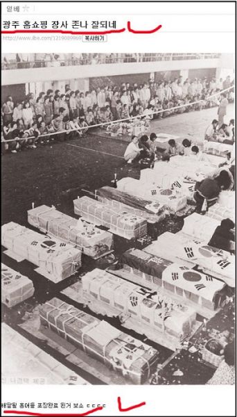 파일:민주화 운동 조롱1.JPG