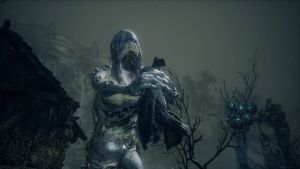 Shark Giant Lunch.jpg