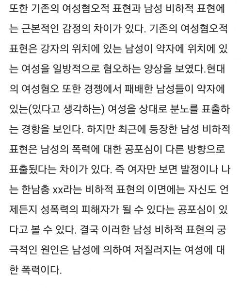 파일:페미위키 개소리2.png