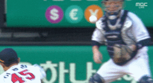 갸의지 확정.gif