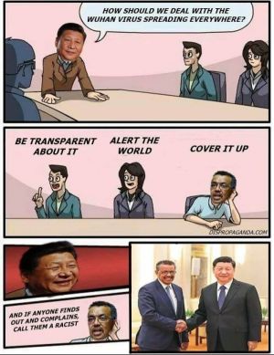 좆진핑과 흑진핑의 관계 비유.jpg