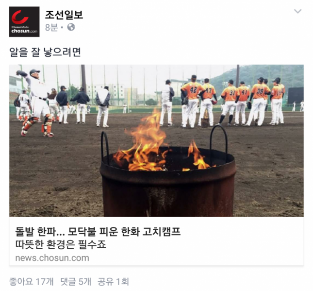 파일:독수리도 알낳음.png