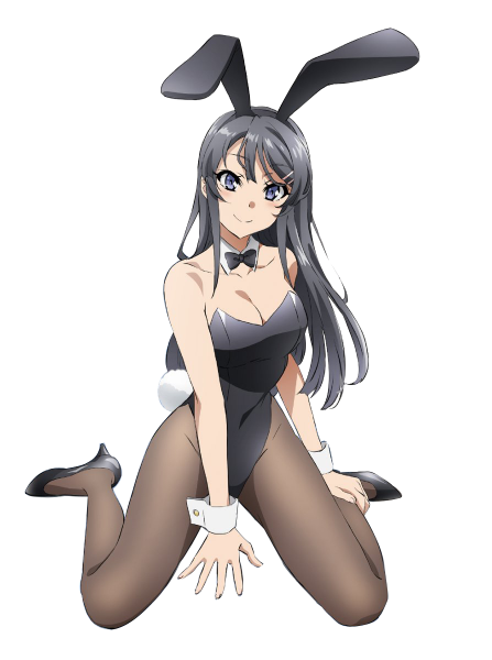 파일:바니걸 마이.png