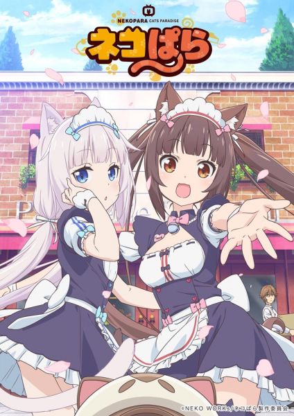 파일:Nekopara TVA.jpg