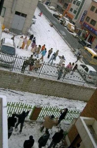 파일:CLA006 초딩그라드.jpg