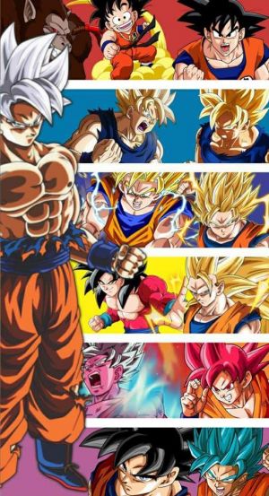 Goku transformations 2.jpg