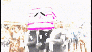 관짝밈+선거결과 콜라보.gif