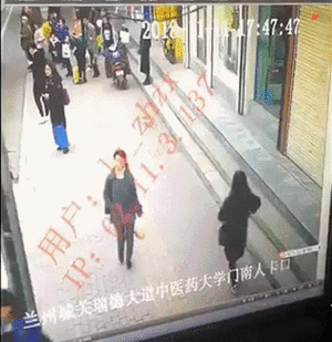 짱깨의 바퀴벌레 트랩.gif