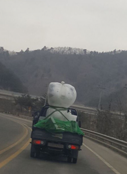 파일:수호랑 트렁크.png