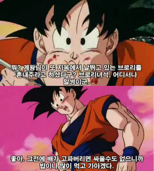 파일:브로리 현실.png