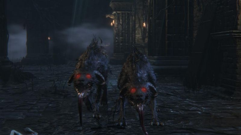 파일:Keepers hunting dog.jpg