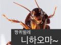 2026년 1월 9일 (금) 02:10 판의 섬네일