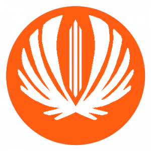 팔시온 로고.png