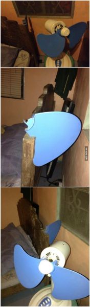 파일:Fan the butcher.jpg