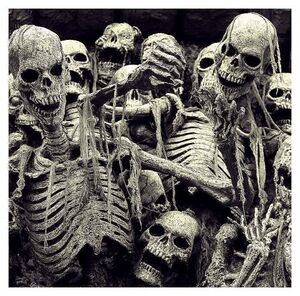 해골.jpeg