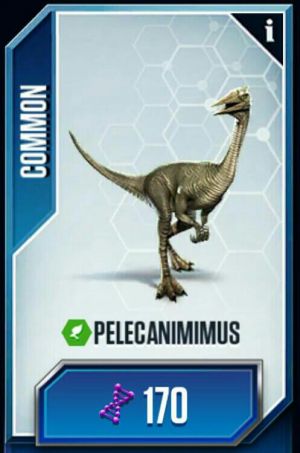 쥬월 더 게임 펠레카니미무스.jpg