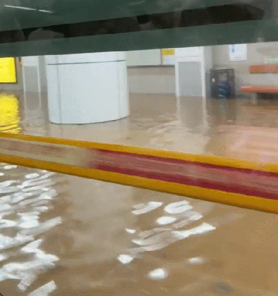 파일:서울 홍수.gif