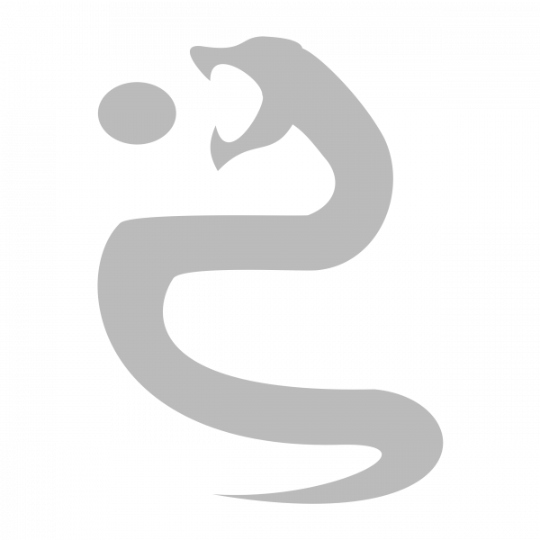 파일:섀도우 문 로고.png