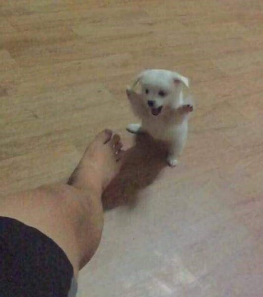 파일:아빠 발 디따 커!.jpg