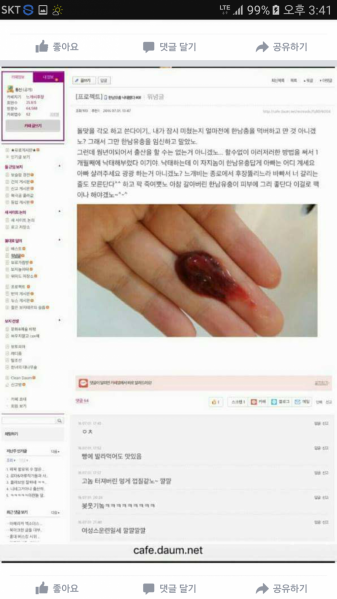 파일:낙태 인증하는 돼지.png