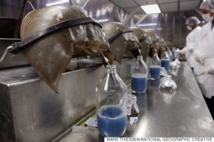 투구게 실험.jpg