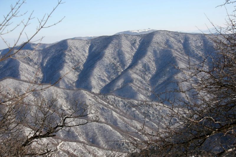 파일:Img 0188 hakppp.jpg