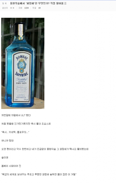 파일:몽환의숲 파랑새.png