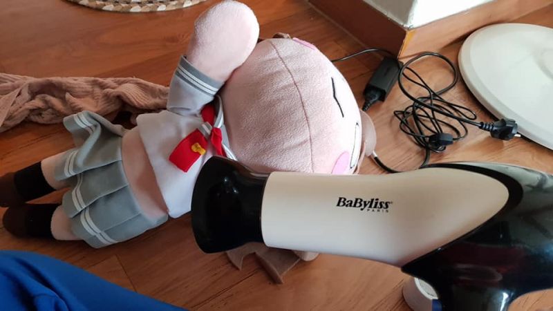 파일:네소베리 건조 방법.jpg