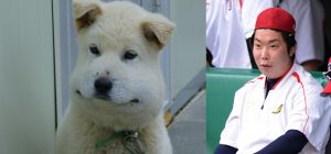 비교사진~댕댕이의 굴욕.jpg