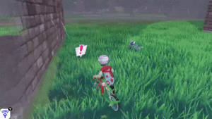 이븐곰 갑툭튀.gif