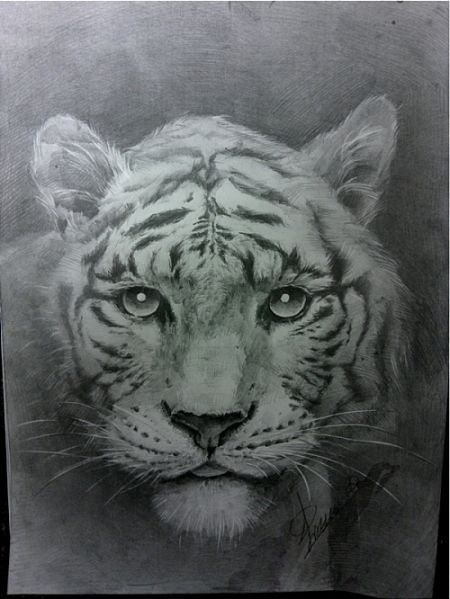 파일:김재경 호랑이.jpg