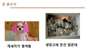 개새끼가 염색함.jpg