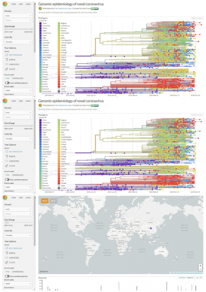 파일:우한 코로나바이러스의 변이.png