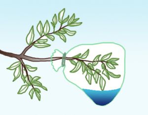 생존주의 기술(기본 기술 - 물).jpg