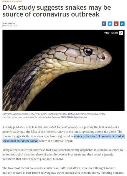 파일:신종 코로나바이러스의 새로운 원인.jpg