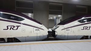 15253255 1383375871695088 6387077725949001728 n.jpg