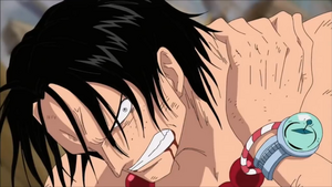 어둠 어둠 열매5.png