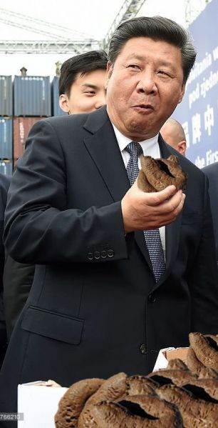 파일:대변 먹는 좆진핑.jpg