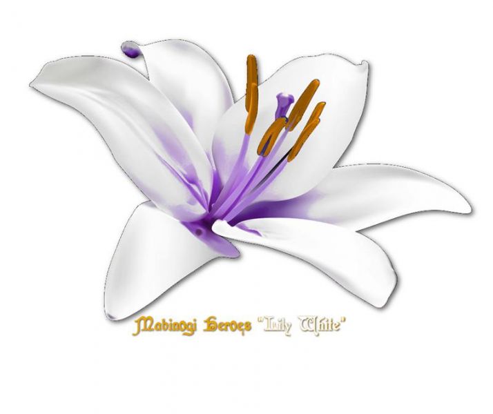 파일:마비노기 영웅전 릴리화이트.jpg