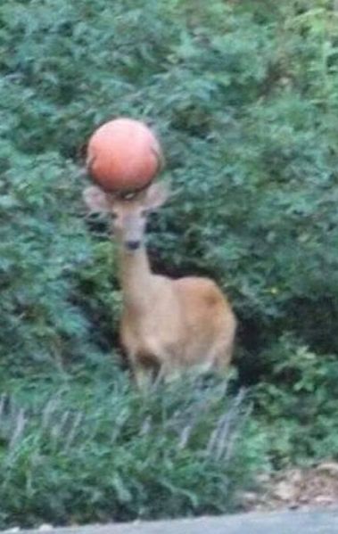 파일:20200117 235827.jpg